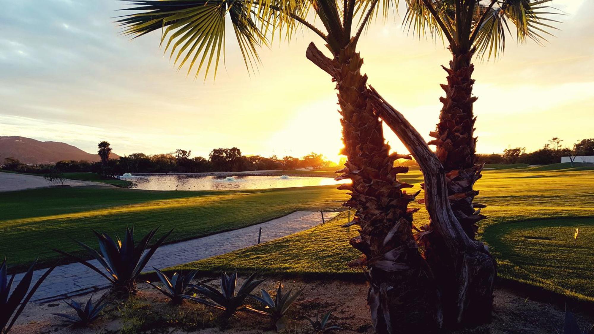 Los Cabos Golf Resort, Trademark Collection By Wyndham Cabo San Lucas Exteriör bild